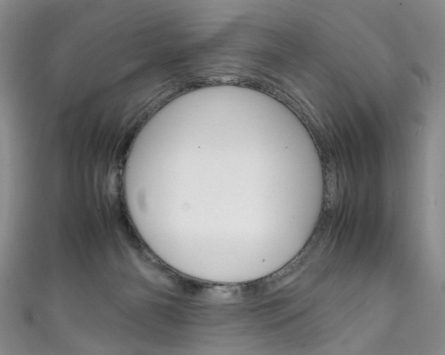 X0000111210126200907011059