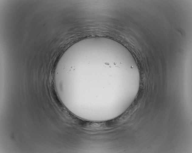 X0000111210129200907011059