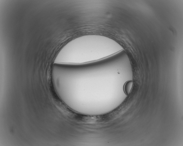 X0000111210131200907011059