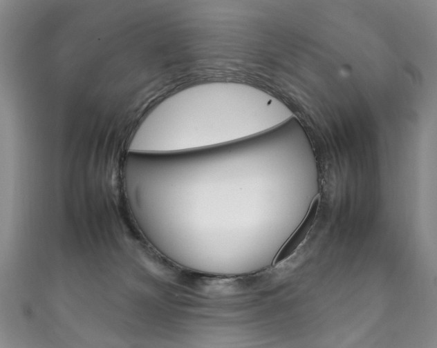 X0000111210132200907011059