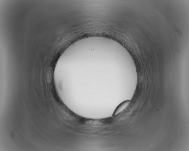 X0000111210133200907011059