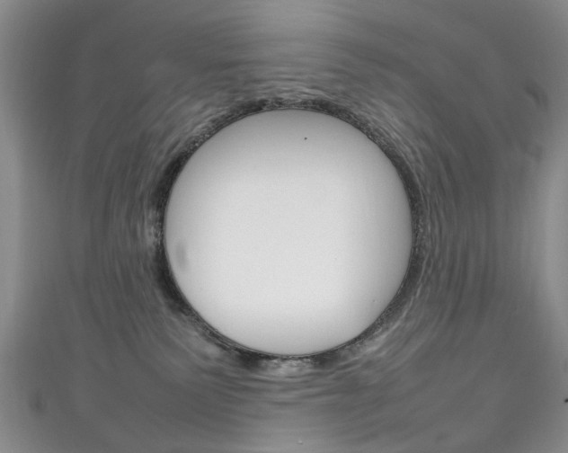 X0000111210135200907011059