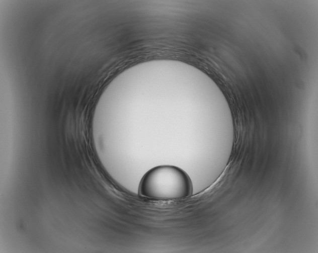 X0000111210136200907011059