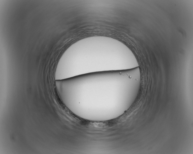 X0000111210137200907011059