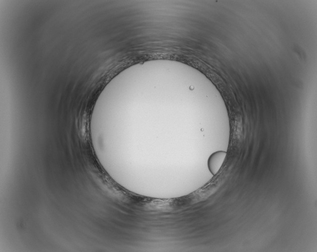 X0000111210138200907011059