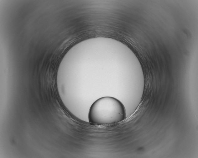 X0000111210140200907011059