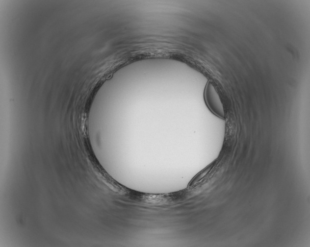 X0000111210141200907011059