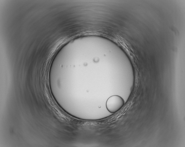 X0000111210145200907011058