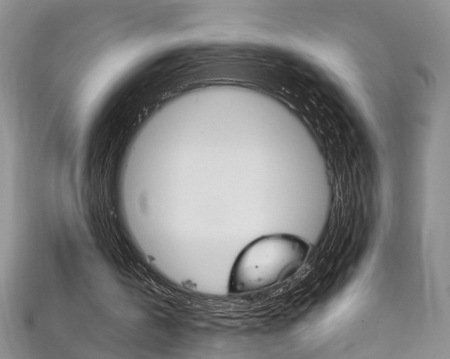 X0000111210146200907011058