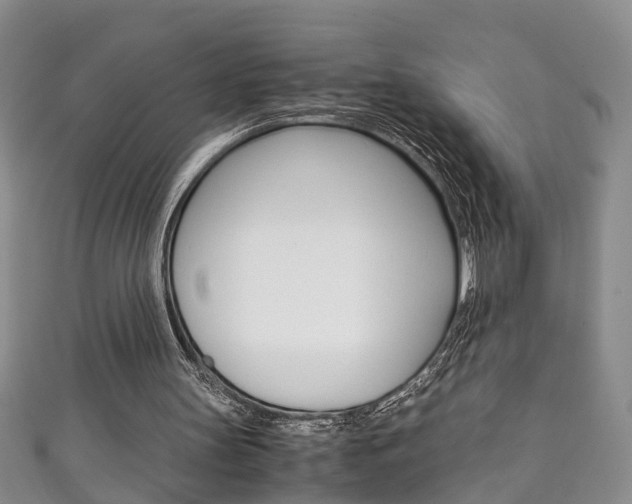 X0000111210147200907011058