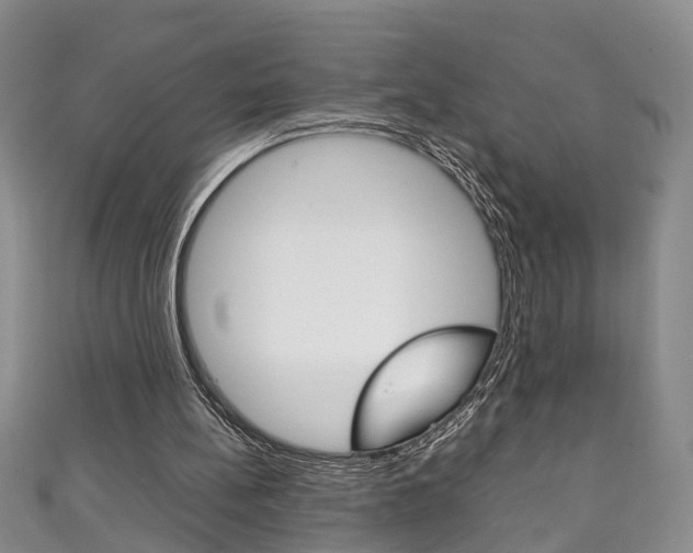 X0000111210148200907011058