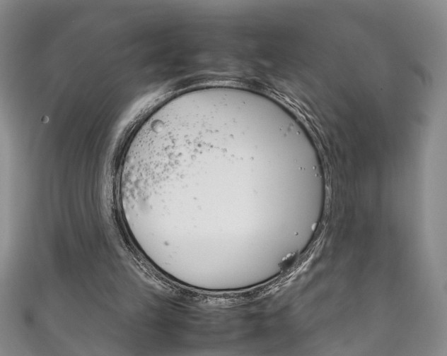 X0000111210149200907011058