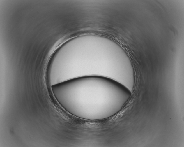 X0000111210150200907011058