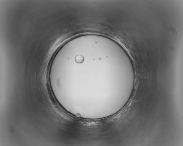 X0000111210151200907011058