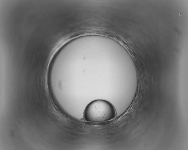 X0000111210152200907011058