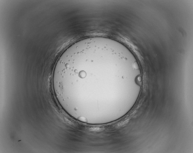 X0000111210153200907011058