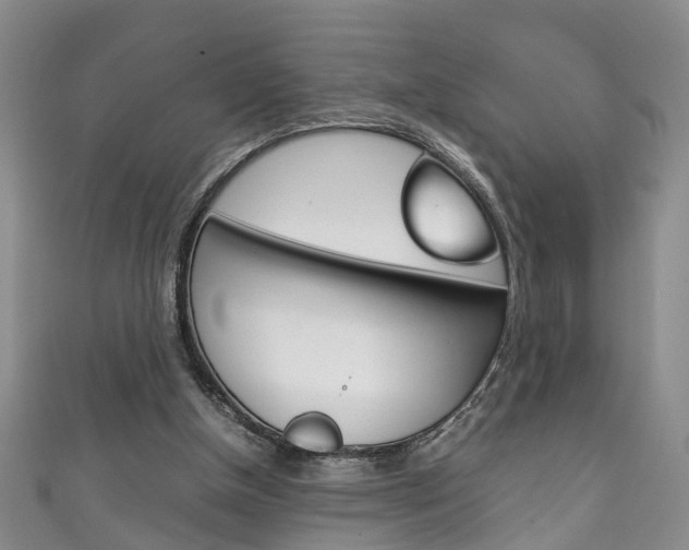 X0000111210154200907011058