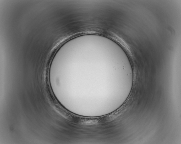 X0000111210155200907011058