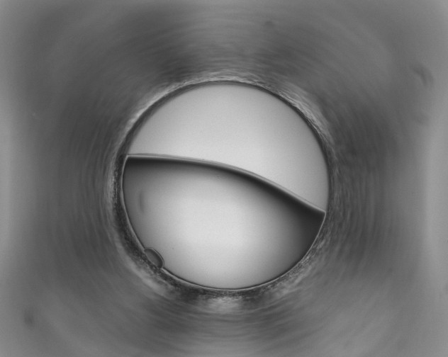 X0000111210156200907011058