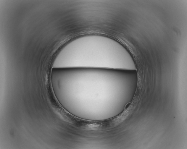 X0000111210158200907011058