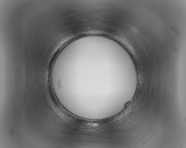 X0000111210159200907011058