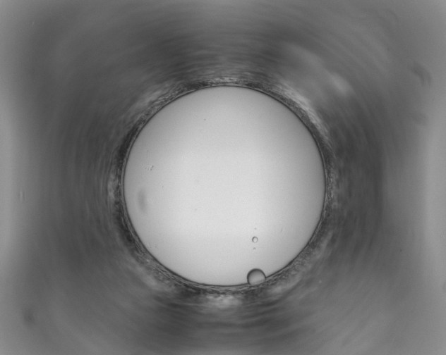 X0000111210161200907011058