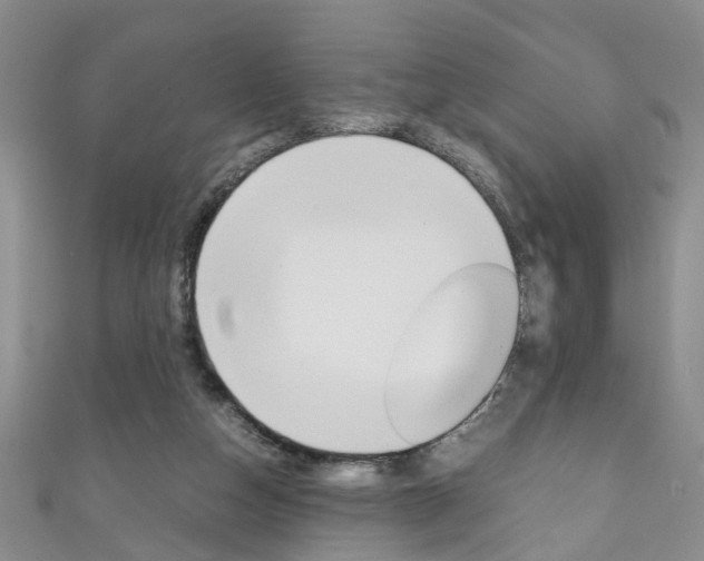 X0000111210162200907011058