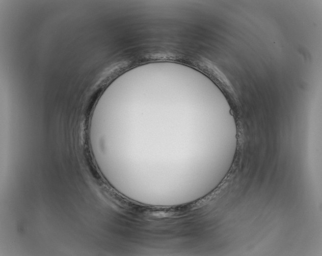 X0000111210163200907011058