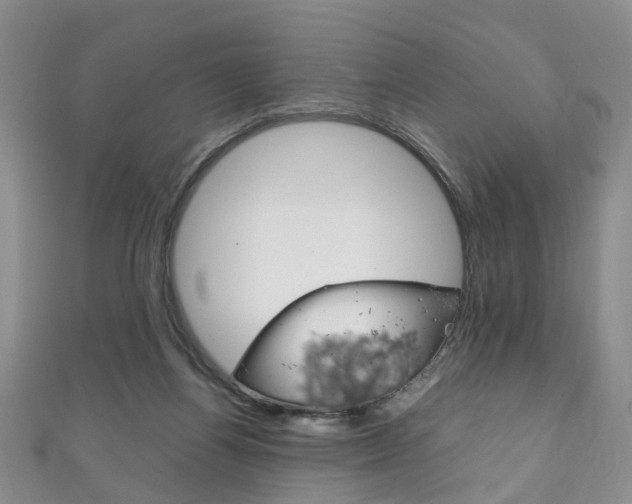 X0000111210164200907011058