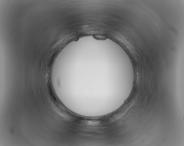 X0000111210165200907011058