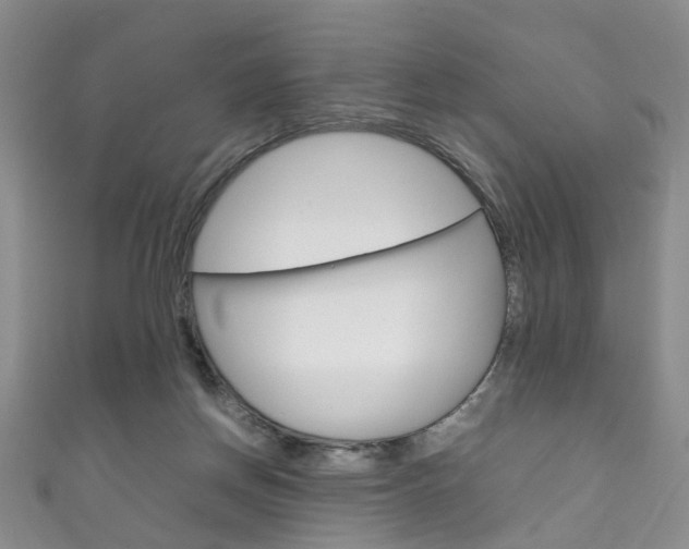 X0000111210166200907011058