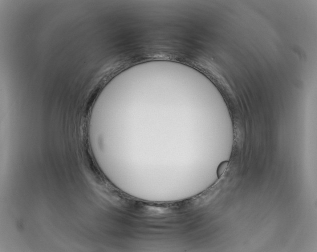 X0000111210167200907011058