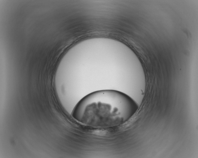 X0000111210168200907011058