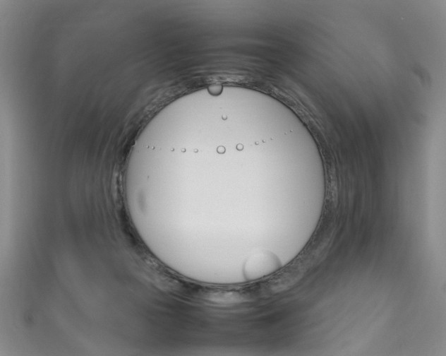 X0000111210169200907011058