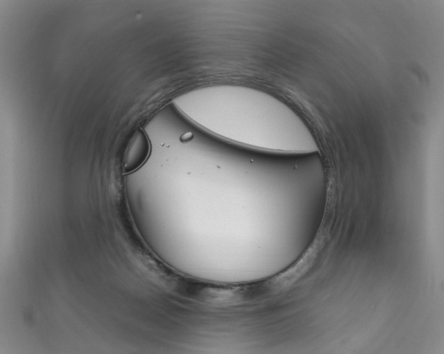 X0000111210170200907011058