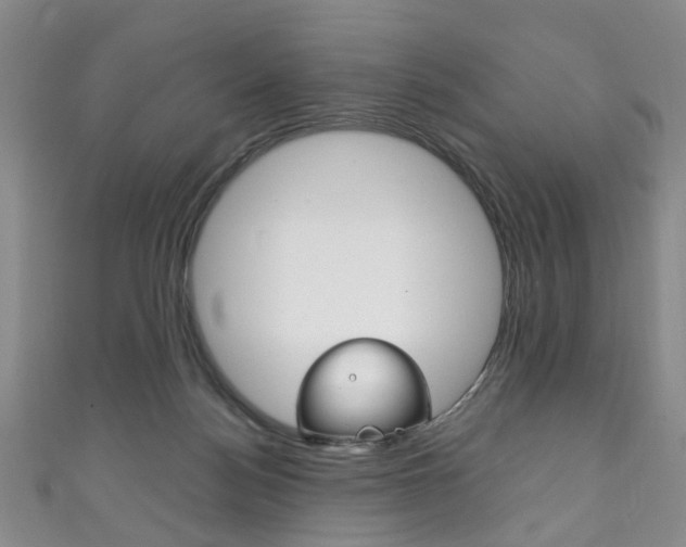 X0000111210172200907011058