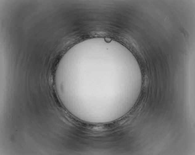 X0000111210173200907011058