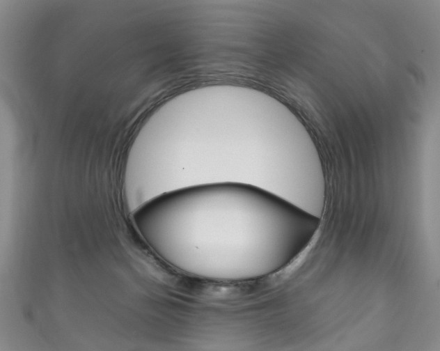 X0000111210174200907011058