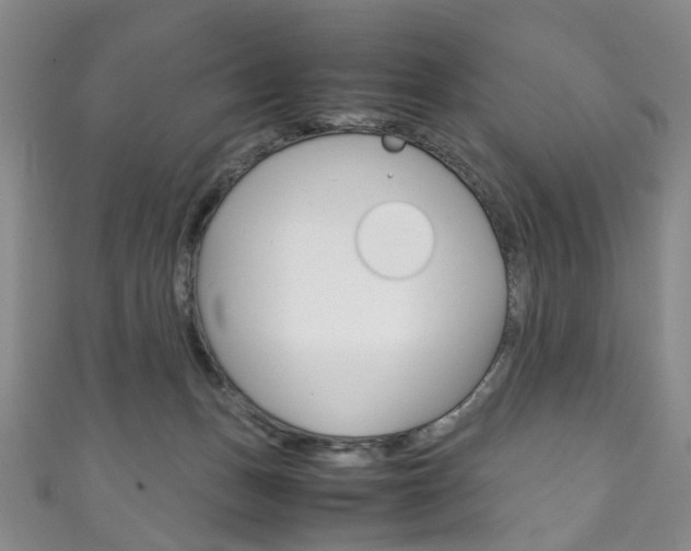 X0000111210175200907011058