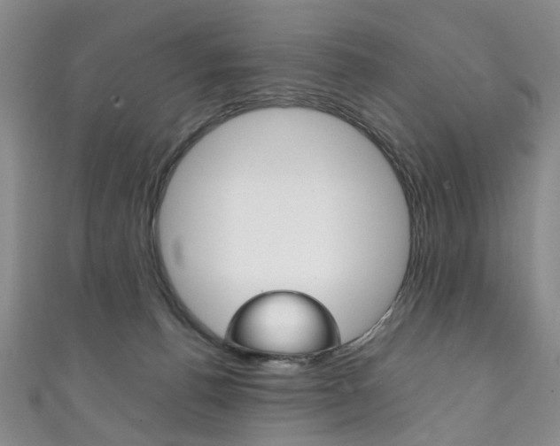 X0000111210176200907011059