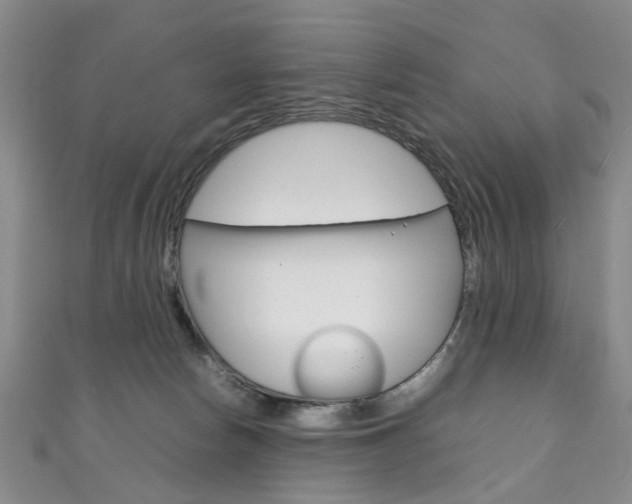 X0000111210178200907011059