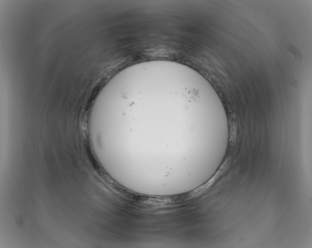 X0000111210179200907011059