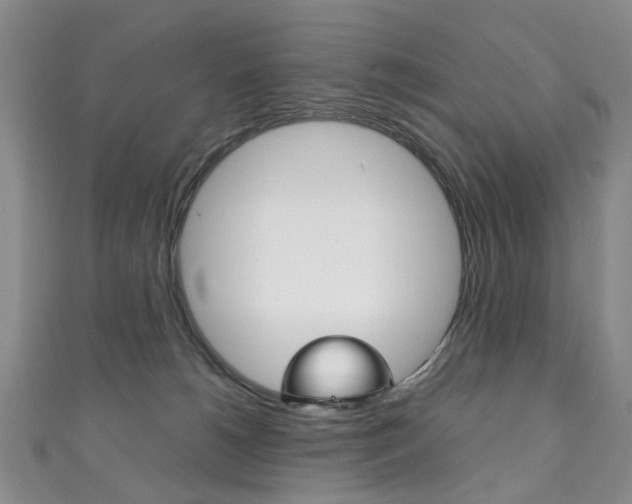 X0000111210180200907011059