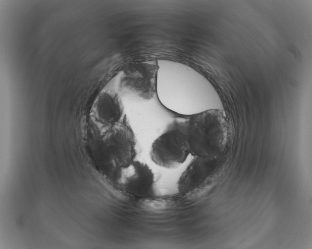 X0000111210181200907011059