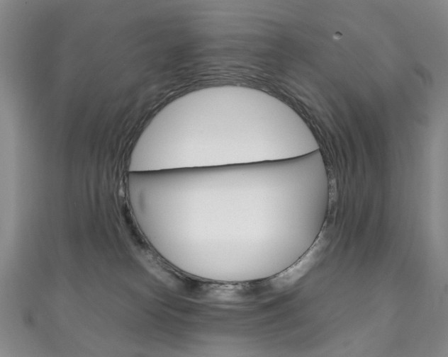 X0000111210182200907011059