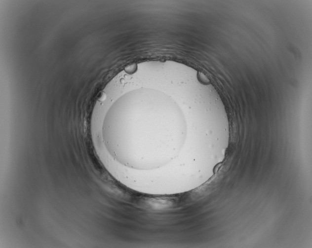 X0000111210183200907011059