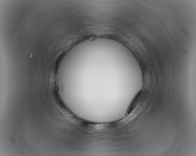 X0000111210184200907011059