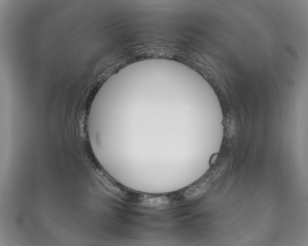 X0000111210185200907011059