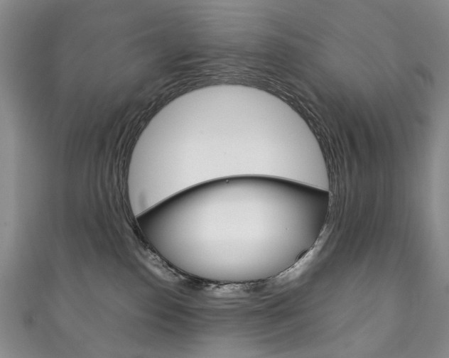 X0000111210186200907011059