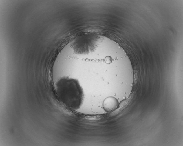 X0000111210187200907011059